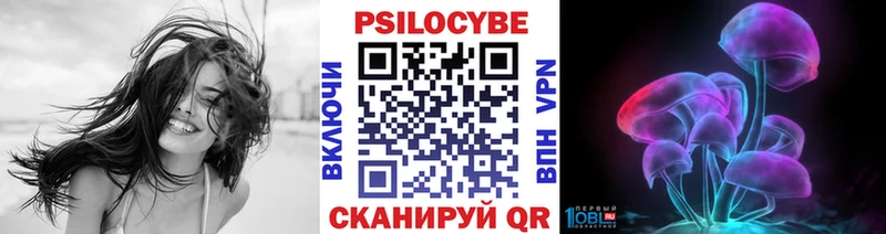 купить закладку  Апрелевка  Псилоцибиновые грибы MAGIC MUSHROOMS 